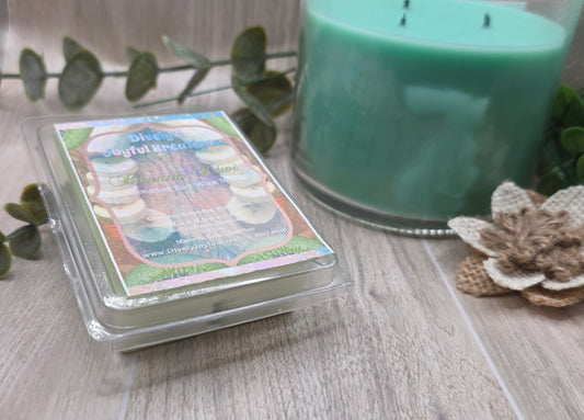 Banana Kiwi Soy Wax Melt
